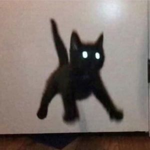 Meet your Posher, Carrie